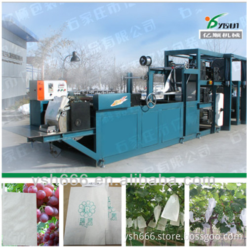 Table grape protective bags making machine factory